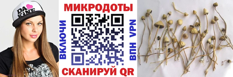 Псилоцибиновые грибы мицелий  Сергач 