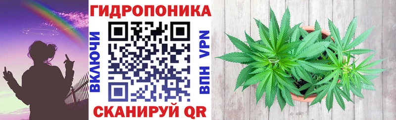 наркота  Сергач  Конопля план 